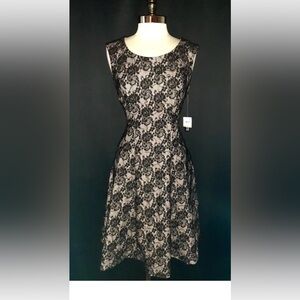 NEW INC International Concepts Sz 12 A-Line Dress Black Bonded Lace Pink Lining